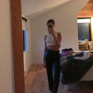 Aritzia Melina Pants SHORT Length